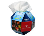 globe-tissue-box